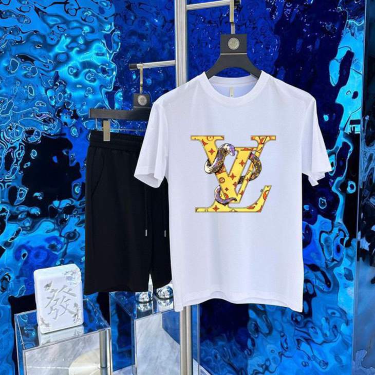 Picture of LV Shirt Pant Suits _SKULVM-5XL13xr0123589